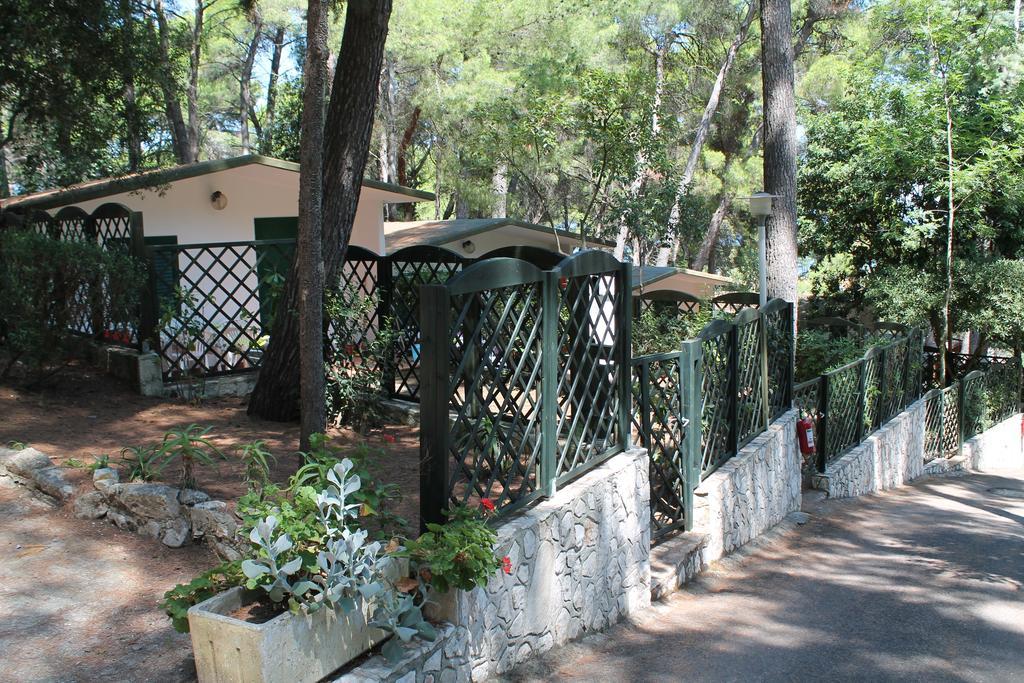 Camping Villaggio Internazionale Сан-Менайо Номер фото